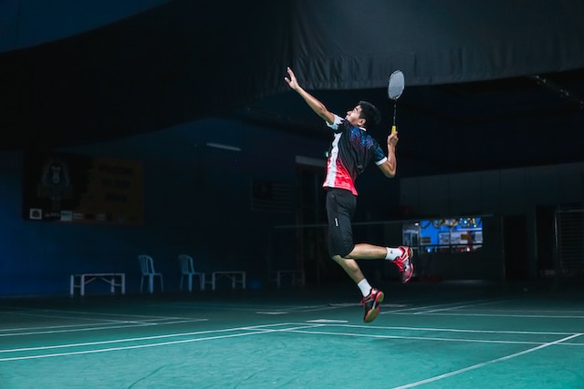 Professional Badminton